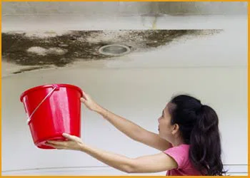 Hallandale Beach Restoration Company Hallandale Beach, FL 954-379-2883 Hallandale Beach Restoration Company Hallandale Beach, FL 954-379-2883 - water-detection